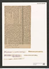 Synedra investiens W. Sm. (de-Toni-Nr.: Genus 66, Species 2597) Zeichnungen Sammlung Grunow (NHMW-BOT-W0373688)